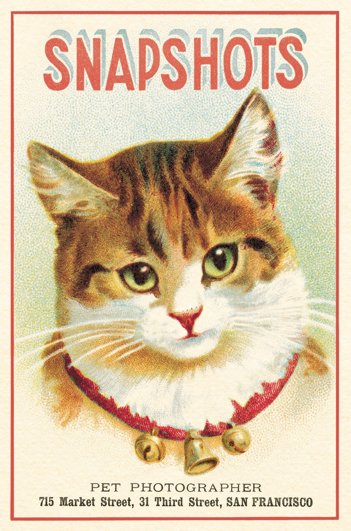 Included postcard example- Vintage-style image with a cat wearing a red collar and the text 'Snapshots Pet Photographer' on a light background.