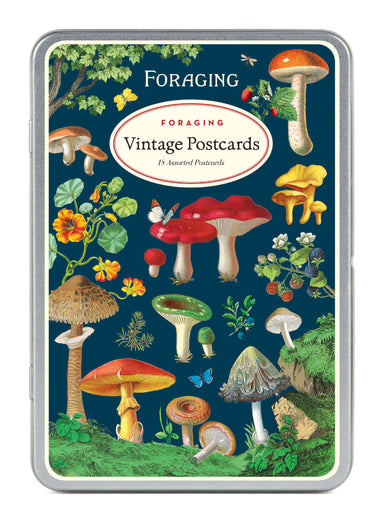 Foraging Vintage Postcards by Cavallini & Co. image showing front of tin