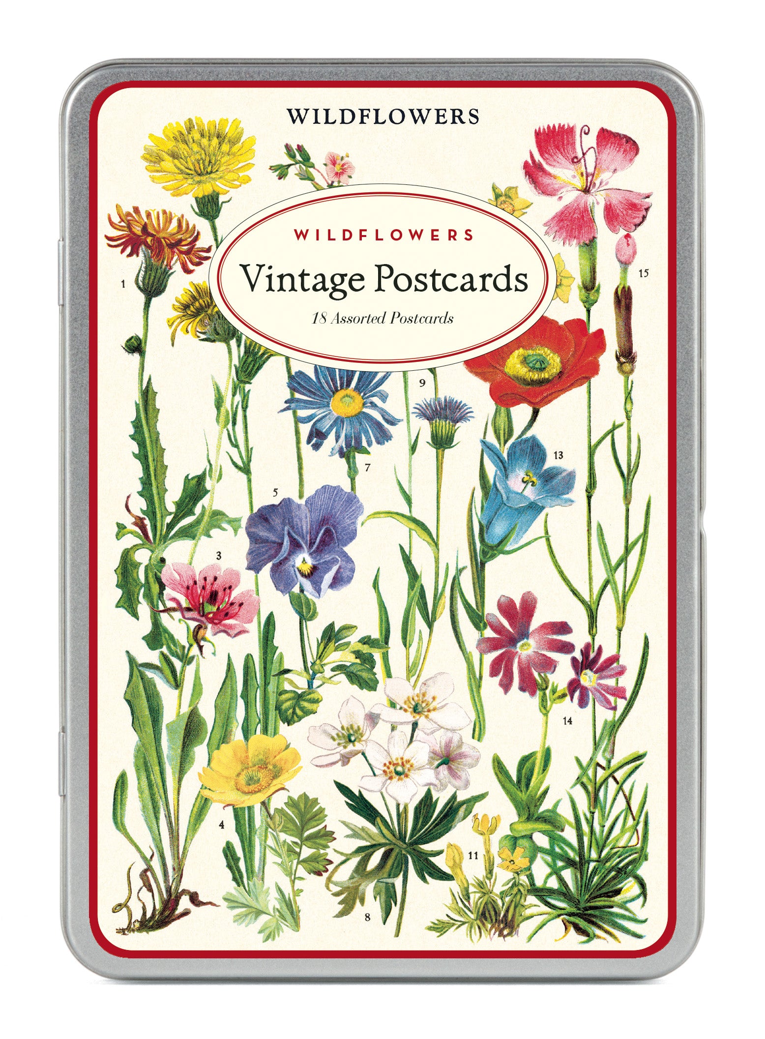 Image of Wildflowers Version 2 Vintage Postcard tin by Cavallini & Co.