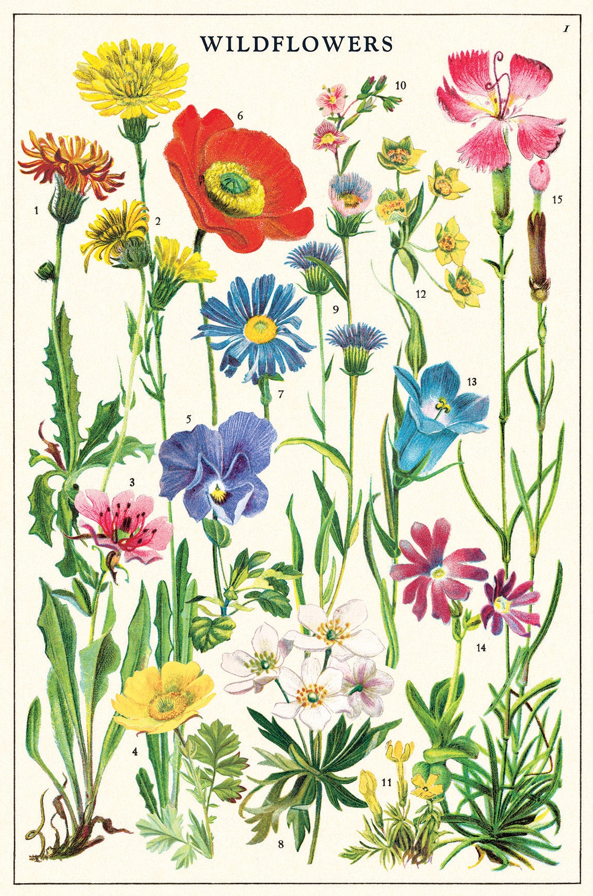 Wildflowers Version 2 Vintage Postcards by Cavallini & Co.