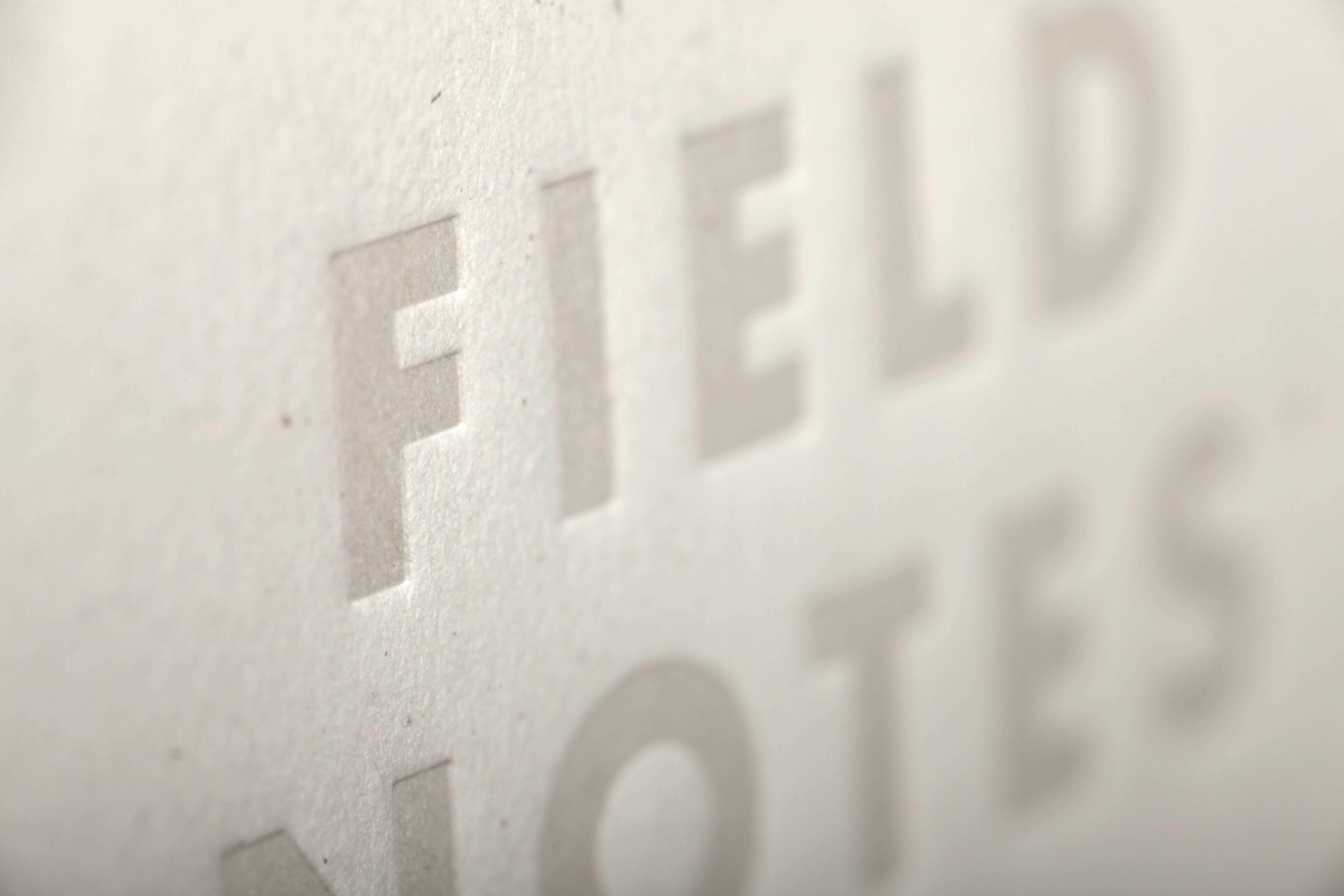 Field Notes Birch Bark Edition 3-Pack