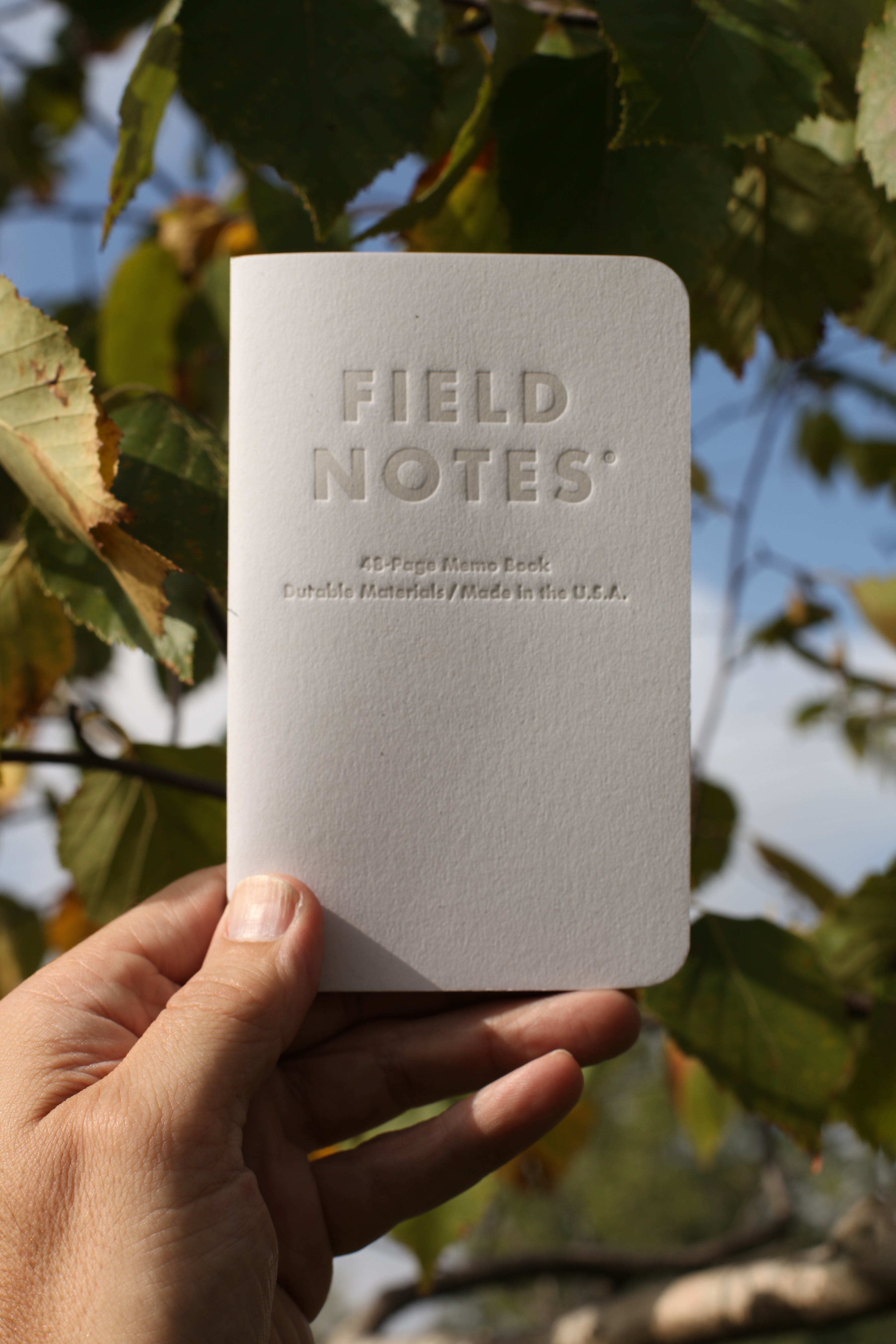 Field Notes Birch Bark Edition 3-Pack