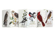 Field Notes “The Birds and Trees of North America" Edition 3-Pack
