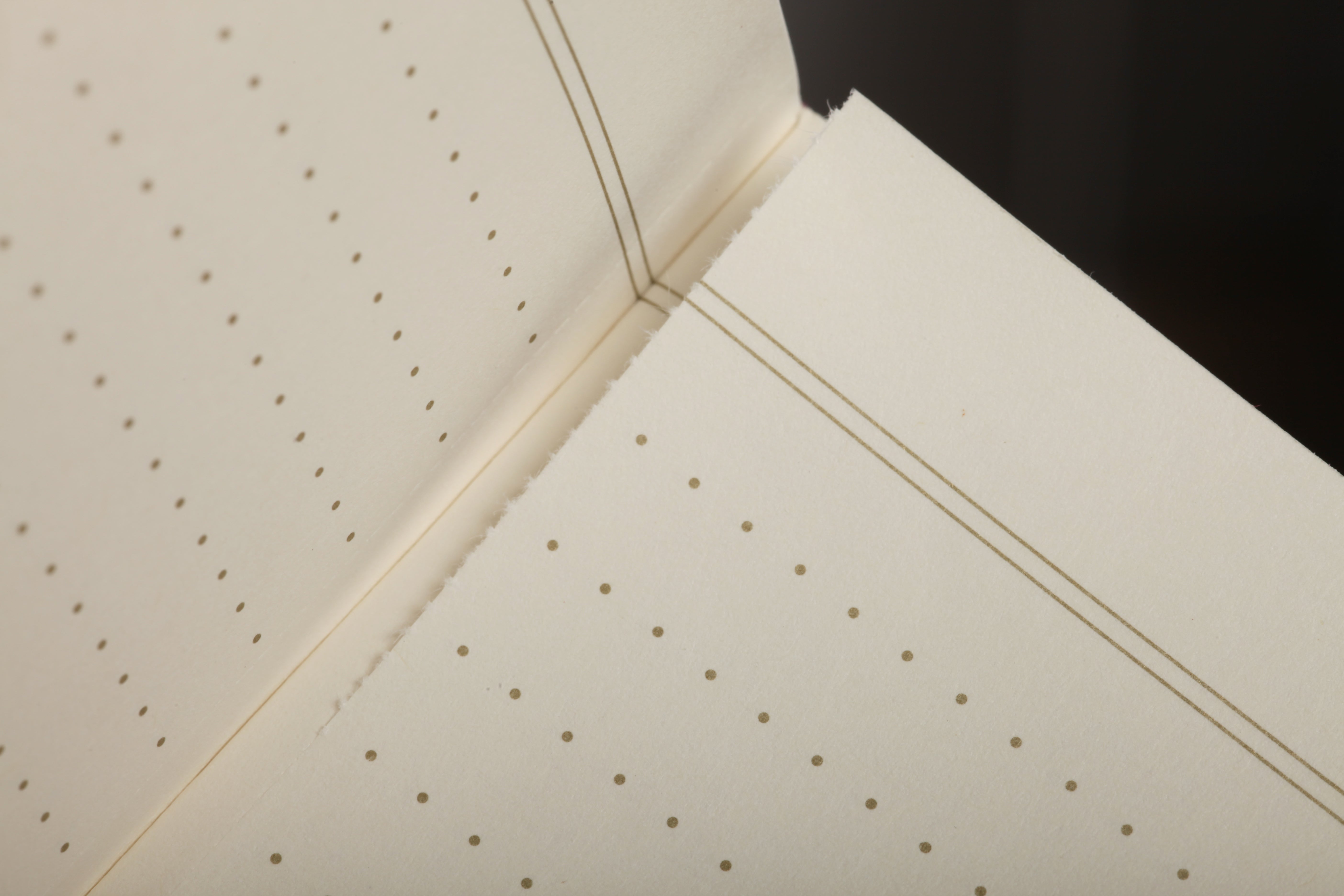 Field Notes Vintage Edition 3-Pack image showing interior dot-ruled pages