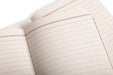 Field Notes Lucky Edition 3-Pack-Open notebook with lined, ledger pages on a white background