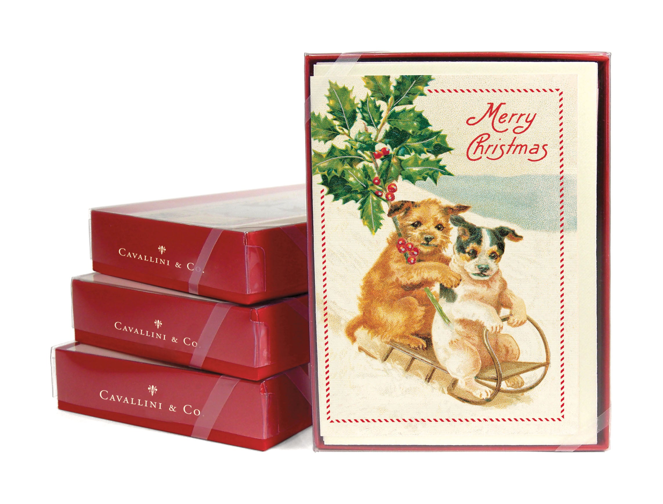 Cavallini & Co. Holiday Dogs Boxed Notecards- sledding dogs enjoying holiday cheer