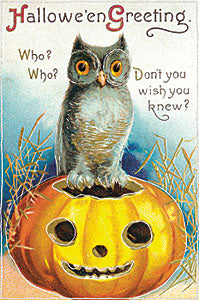 Vintage Halloween postcard featuring a gray owl perched on top of a carved orange pumpkin, with the text 'Halloween Greeting' and 'Who? Who? Don't you wish you knew?' on a blue background.