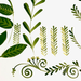 Painting Leaves & Vines sample patterns