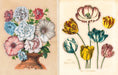 John Derian Sticker Book example pages- Two illustrations of flowers, one in a vase and the other as individual petals.