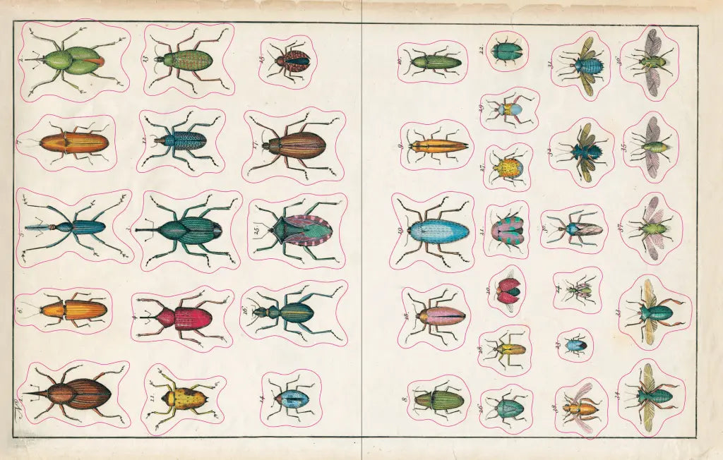 John Derian Sticker Book example pages- Illustrations of various insects on a ight colored background.