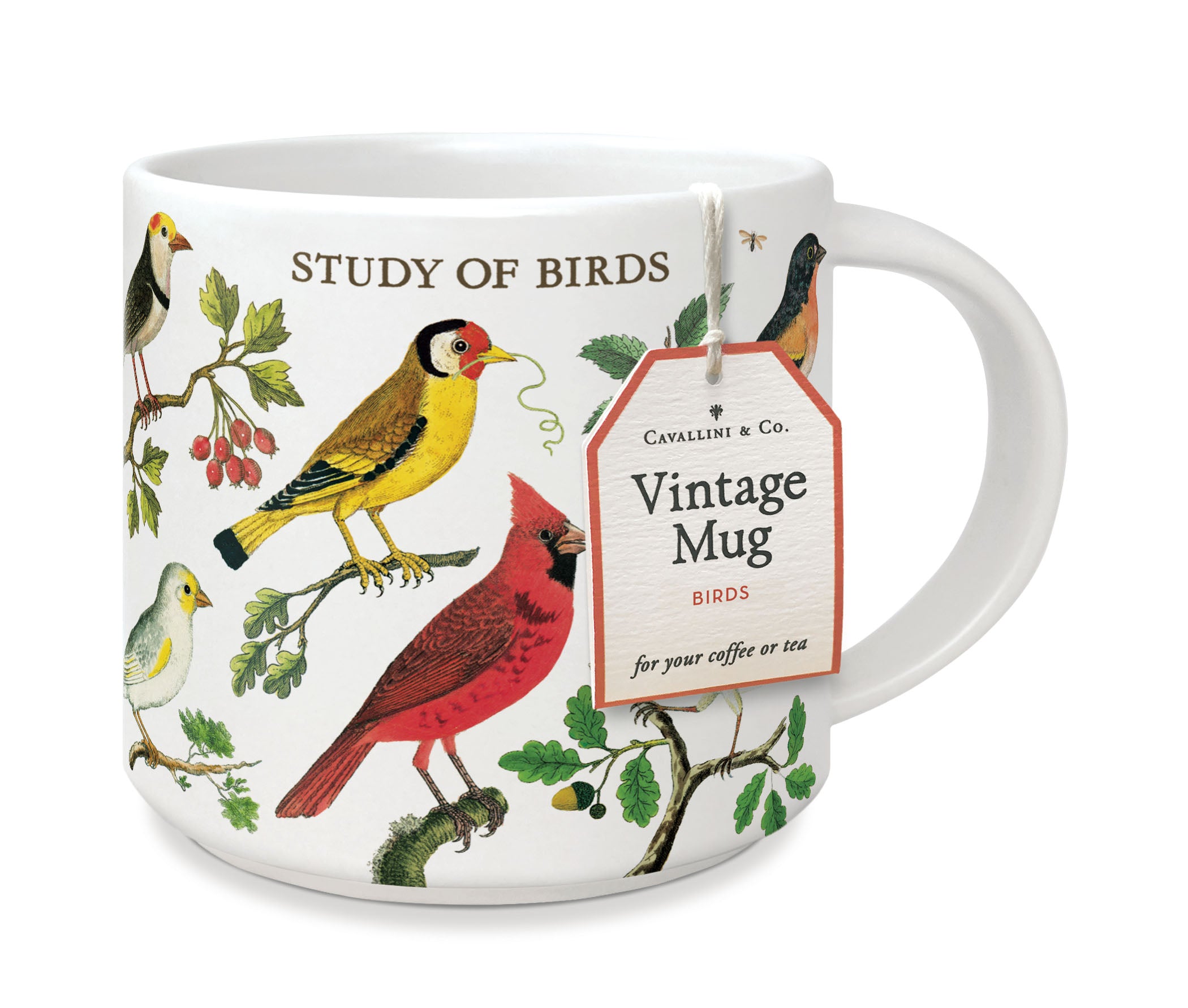 image of Cavallini & Co. Birds Ceramic Mug with hang tag