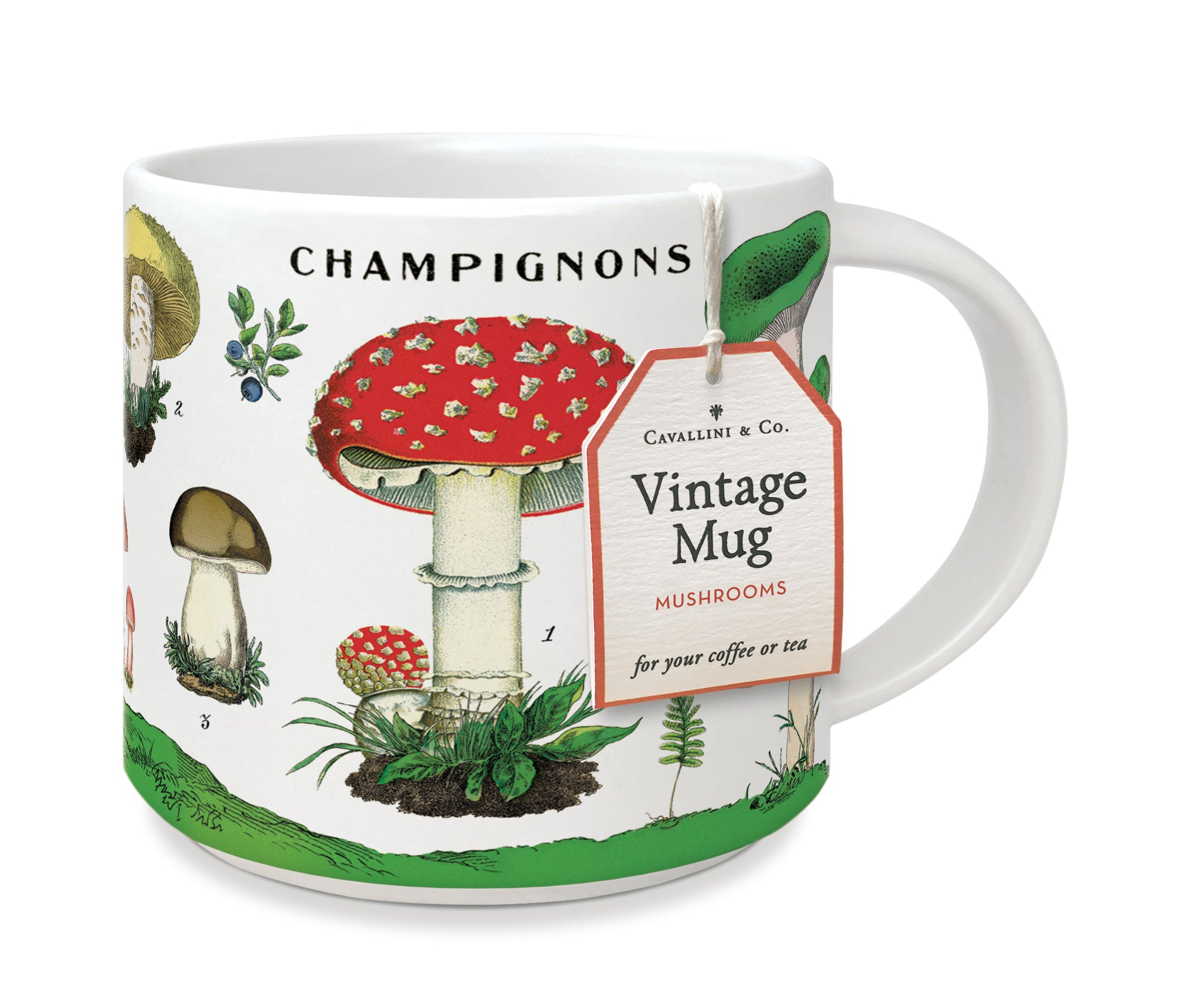 image of Cavallini & Co. Mushrooms Ceramic Mug