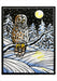 Molly Hashimoto: Winter Birds Holiday Card Assortment