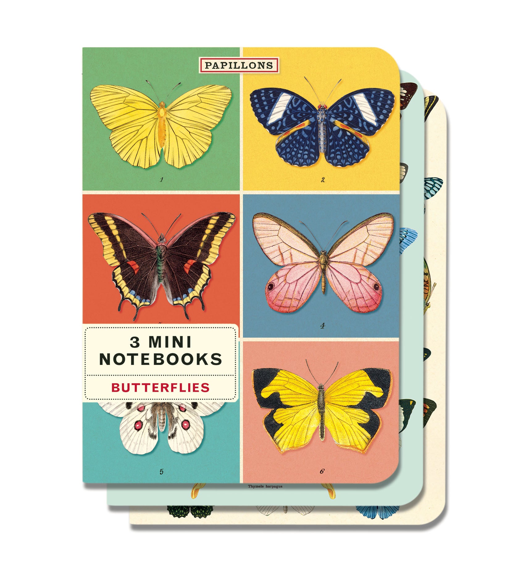 image of Cavallini & Co. Butterflies Mini Notebook Set