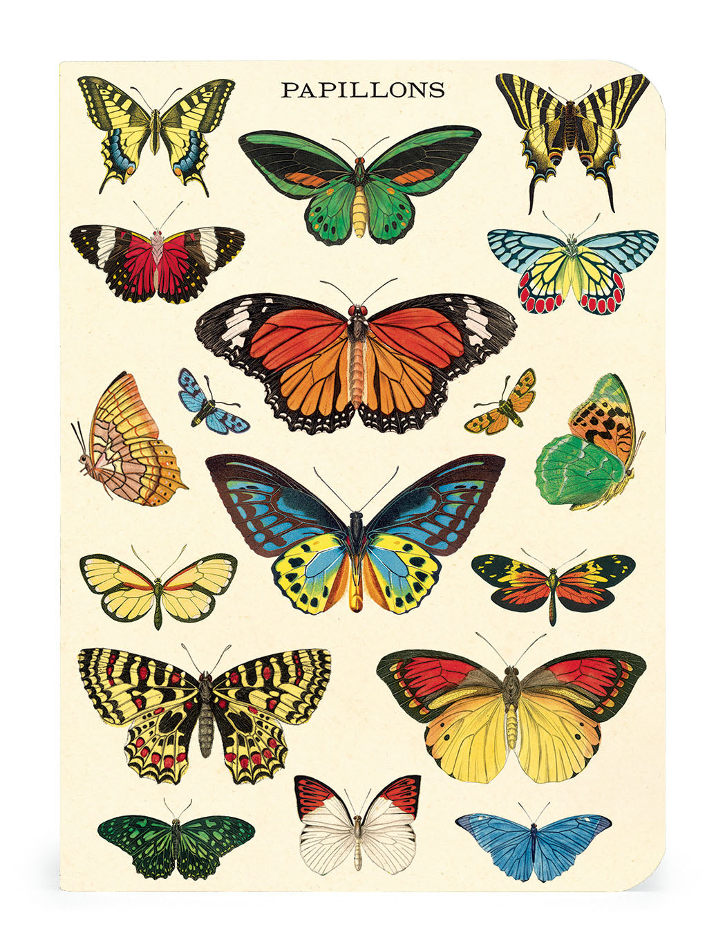 Cavallini & Co. Butterflies Mini Notebook Set- papillons cover