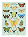 Cavallini & Co. Butterflies Mini Notebook Set