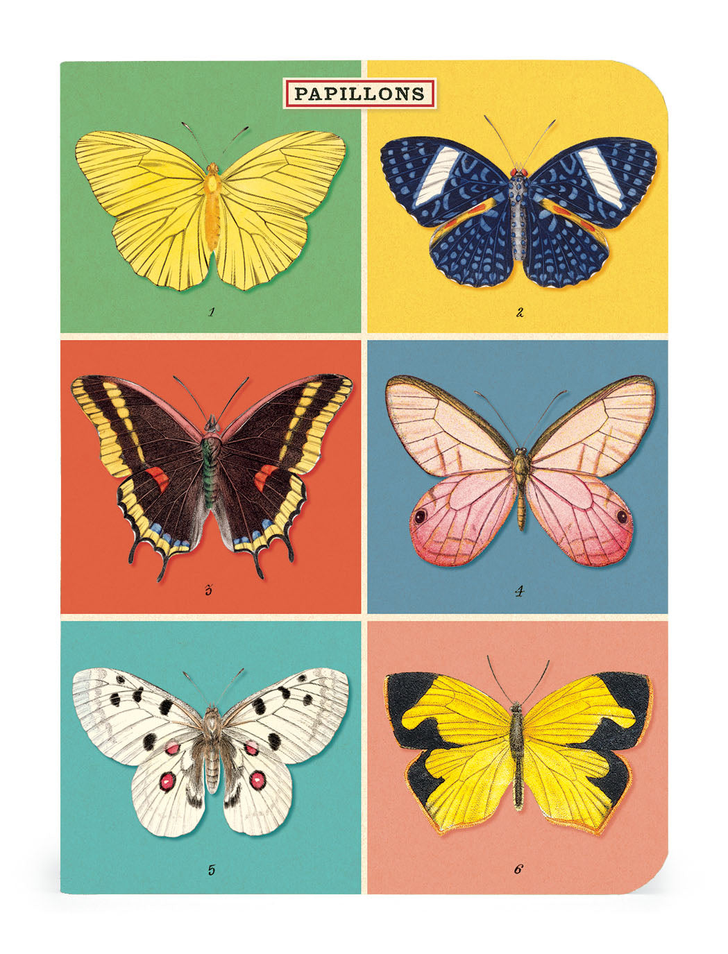 Cavallini & Co. Butterflies Mini Notebook Set