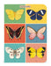 Cavallini & Co. Butterflies Mini Notebook Set