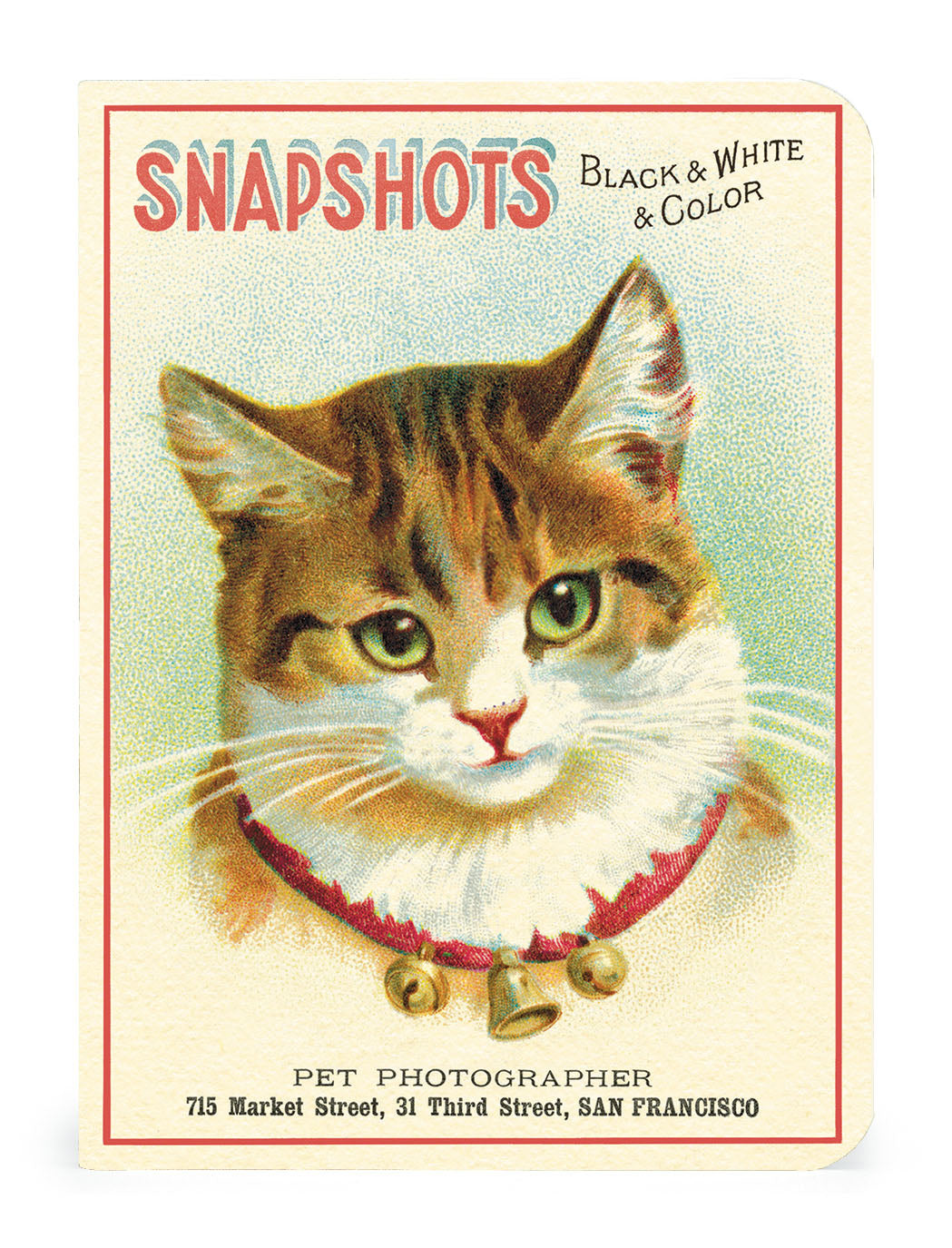 Cavallini & Co. Cats Mini Notebook Set- Vintage-style notebook with a cat illustration and text about pet photography.