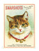 Cavallini & Co. Cats Mini Notebook Set- Vintage-style notebook with a cat illustration and text about pet photography.