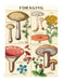 Cavallini & Co. Foraging Mini Notebook style 3 image