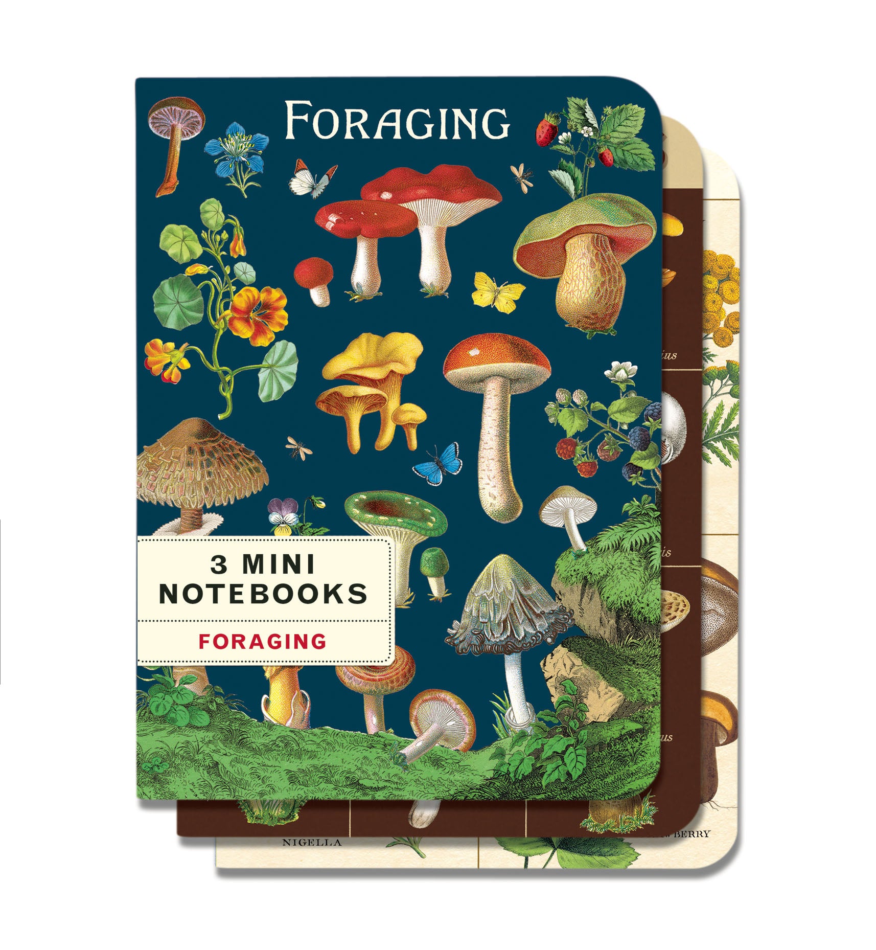 Cavallini & Co. Foraging Mini Notebook Set of 3 notebooks image