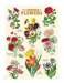 Cavallini & Co. Language of Flowers Mini Notebook style 1 image