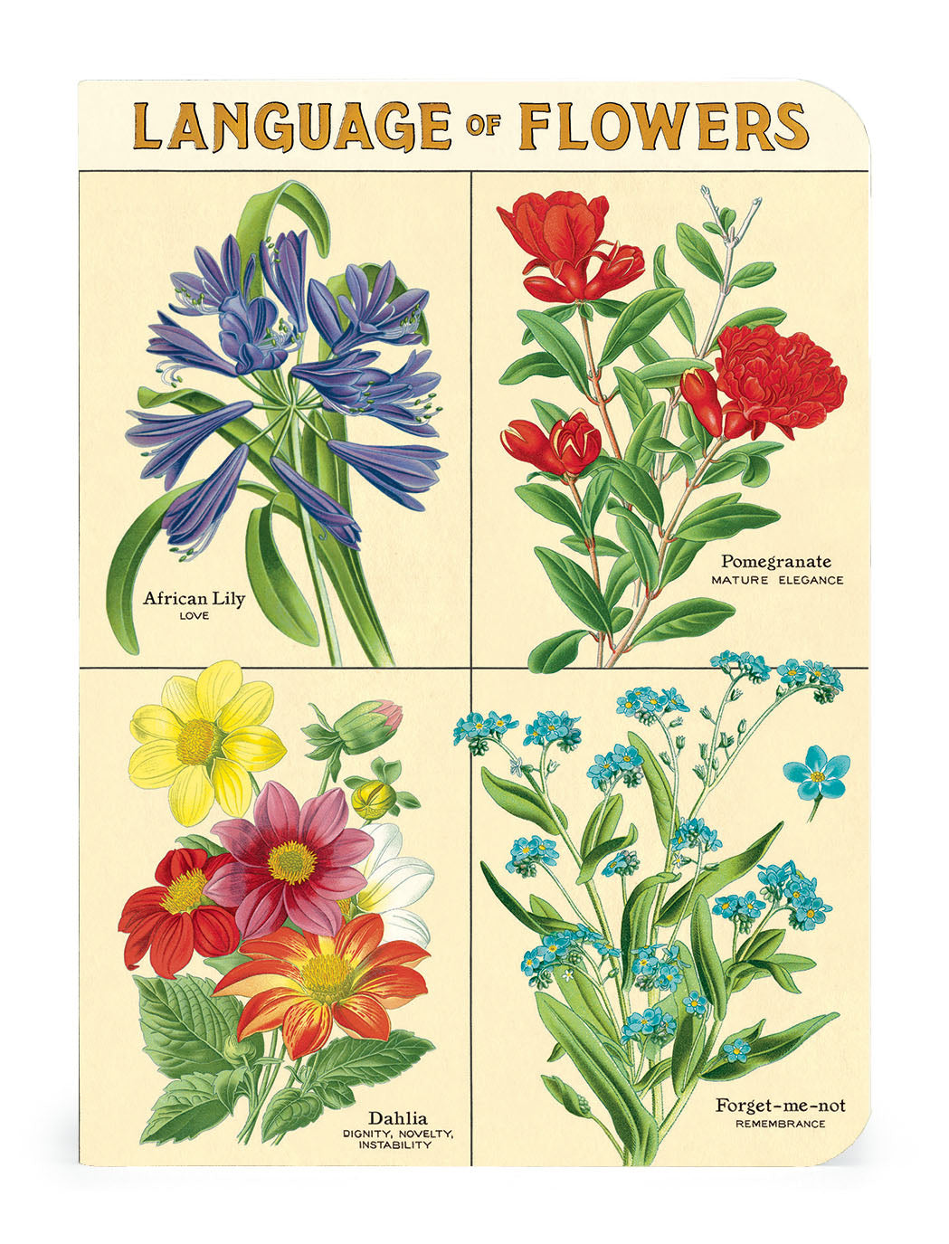 Cavallini & Co. Language of Flowers Mini Notebook style 2 image 