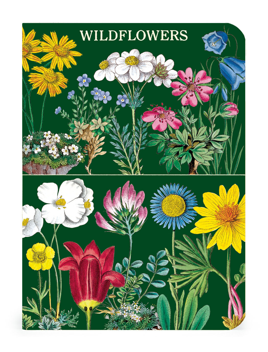 Cavallini & Co. Wildflowers Mini Notebook Set image of style one.