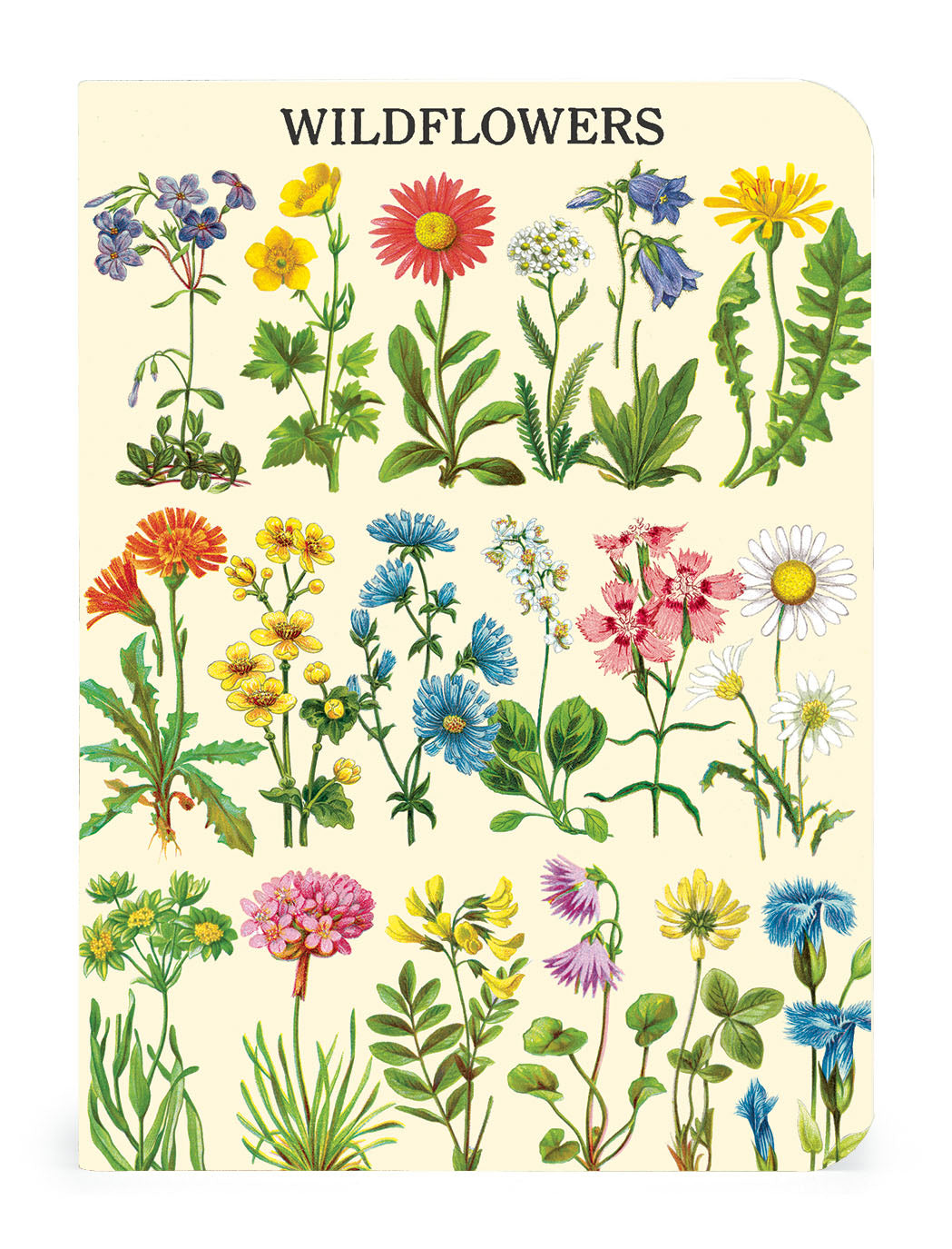 Cavallini & Co. Wildflowers Mini Notebook Set image of style two.