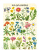 Cavallini & Co. Wildflowers Mini Notebook Set image of style two.