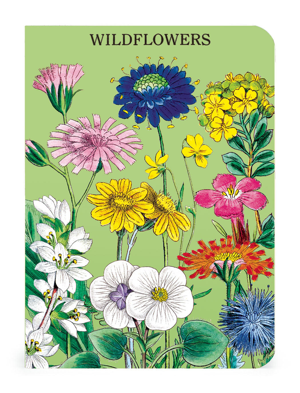 Cavallini & Co. Wildflowers Mini Notebook Set image of style three.