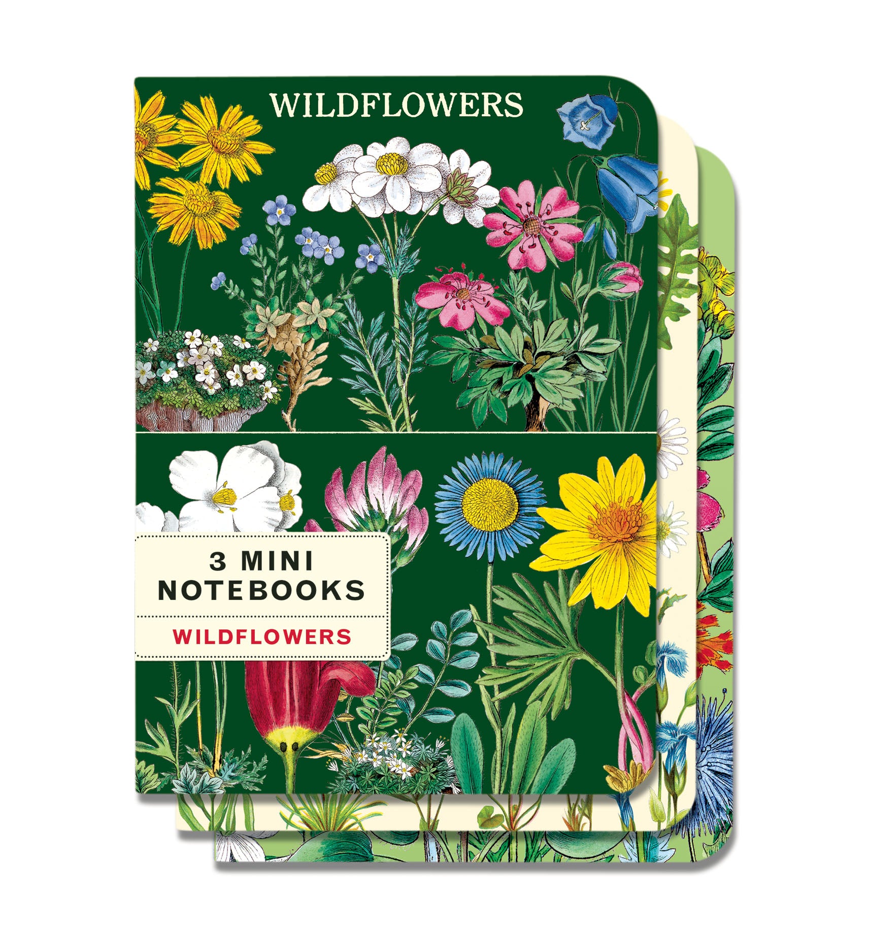 Cavallini & Co. Wildflowers Mini Notebook Set showing three notebooks in set.
