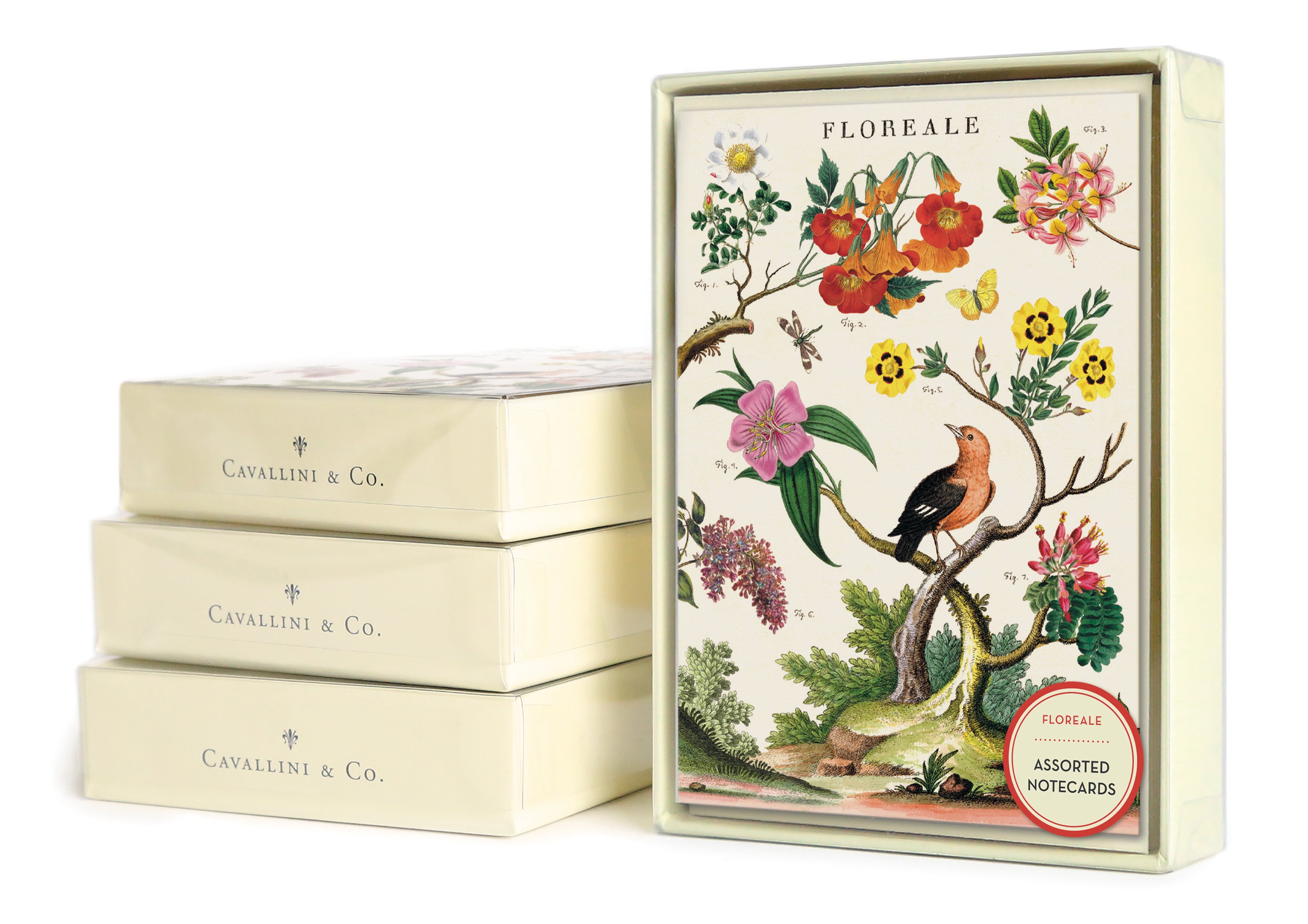 Cavallini & Co's. Floreale notecards are full of color and beautiful and artistic flowers, trees, and birds.