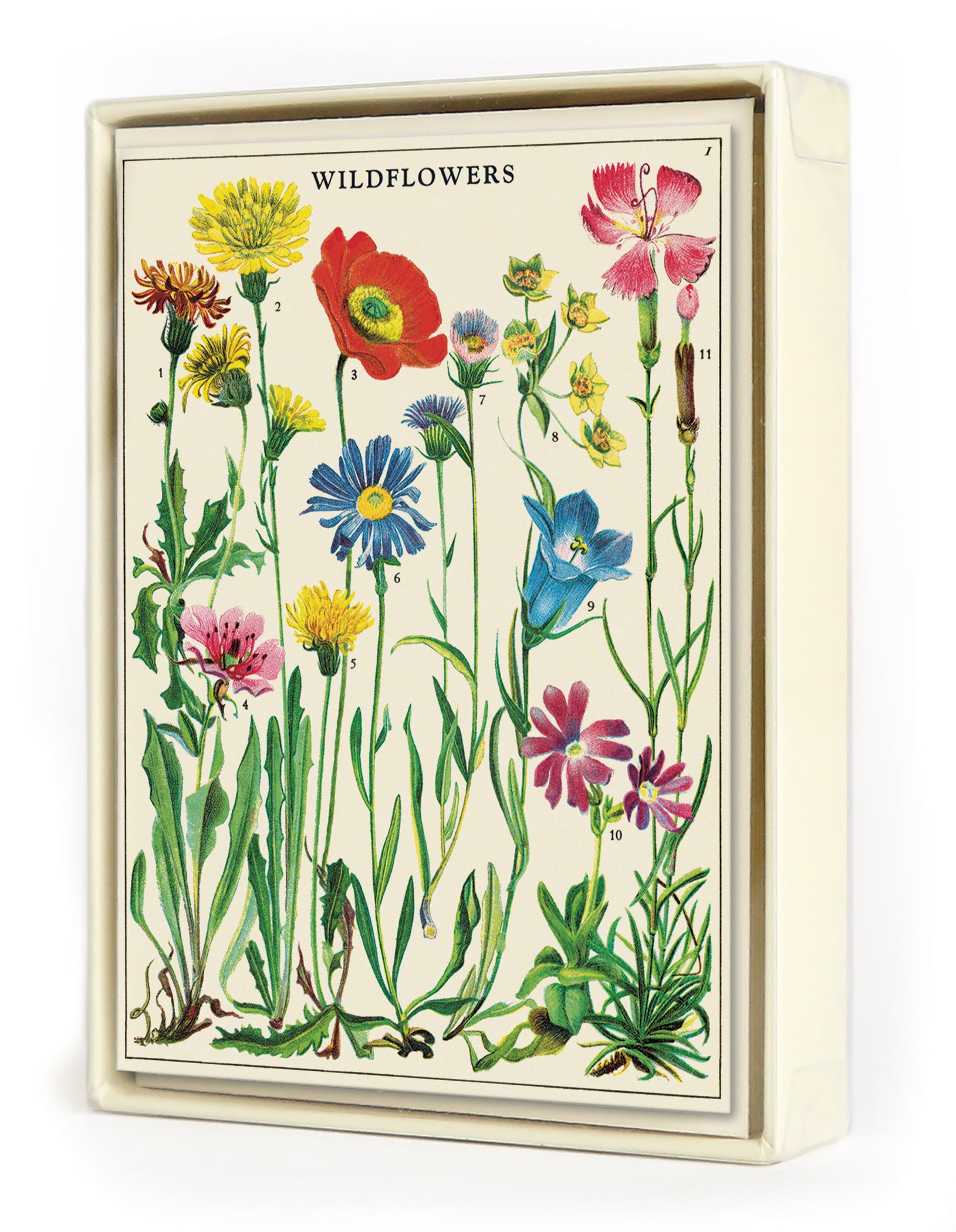 Cavallini & Co. Wildflowers Boxed Notecards