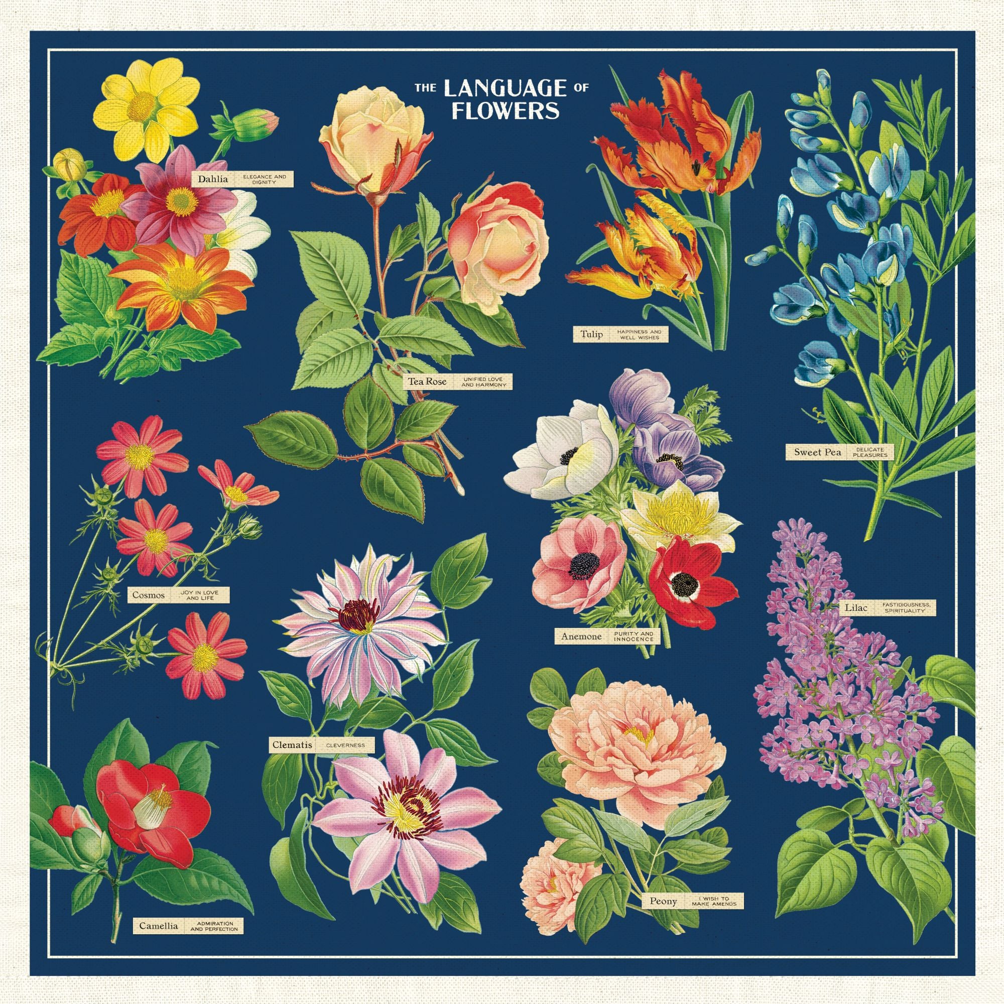 Cavallini & Co. Language of Flowers Cotton Napkins- Set of 4- image shows napkin example with flowers and their names on a blue background