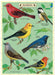 Bird-themed puzzle greeting card by Cavalllini & CO. with illustrations of various birds on a green background