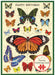 Cavallini & Co. Happy Birthday Butterflies Puzzle Greeting Card- featuring the text 'Happy Birthday' 