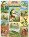Cavallini & Co. Frogs & Friends 240 Piece Mini Puzzle finished puzzle- a collage of vintage-style frog-themed illustrations with text and images.