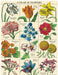 Cavallini & Co. A Year in Flowers 240 Piece Mini Puzzle- finished puzzle illustration of flowers corresponding to each month of the year on a grid.