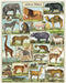 This puzzle features a collection of animals from around the world- zebra, horse, goat, and skunk, and of course a lion, tiger and bear!