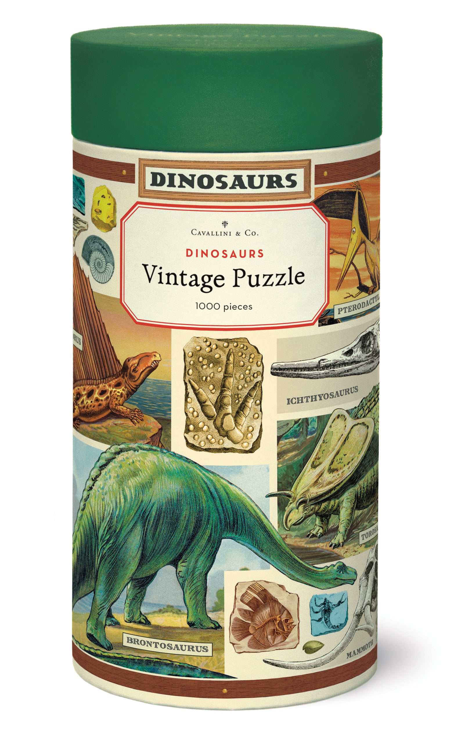 Cavallini & Co. Dinosaur 1000 Piece Puzzle package image