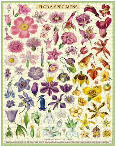 Cavallini & Co. Flora Specimens 1000 Piece Puzzle image showing finished puzzle