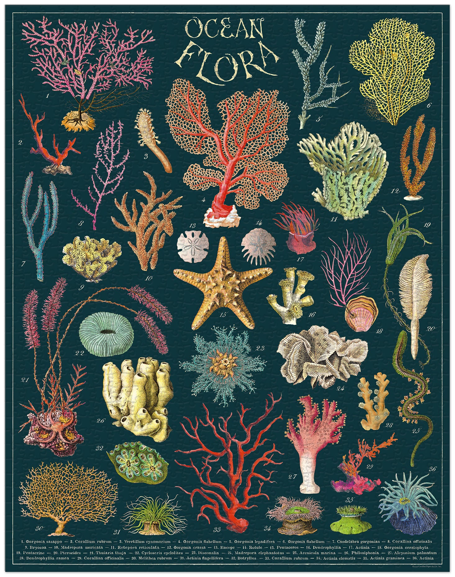 Image of Cavallini & Co. Ocean Flora 1000 Piece Puzzle finished.