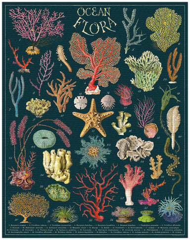 Image of Cavallini & Co. Ocean Flora 1000 Piece Puzzle finished.