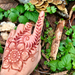 Designs in Henna on the back of a hand in red