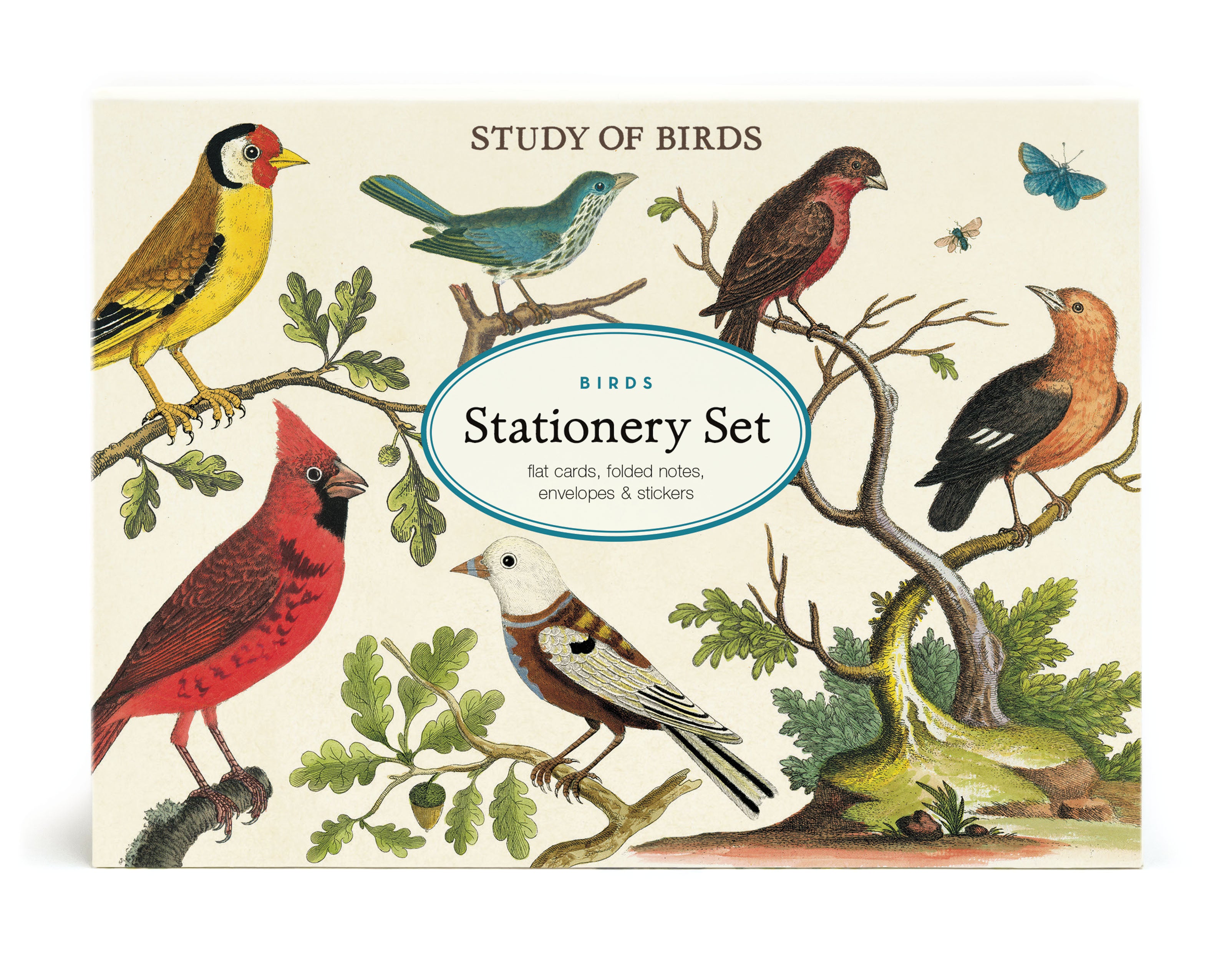 Cavallini & Co. Study of Birds Stationery Set front cover image