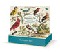 Cavallini & Co. Study of Birds Stationery Set- Stationery set packaging with bird illustrations on a white background