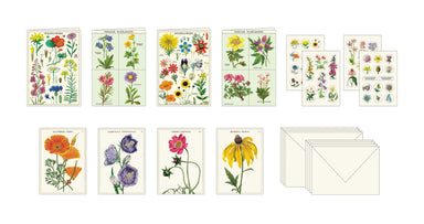 Image of Cavallini & Co. Wildflowers Stationery Set contents
