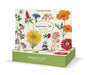 Cavallini & Co. Wildflowers Stationery Set- Stationery set packaging with illustrations of wildflowers on a white background